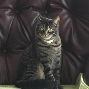 Meet your Posher, Beverly